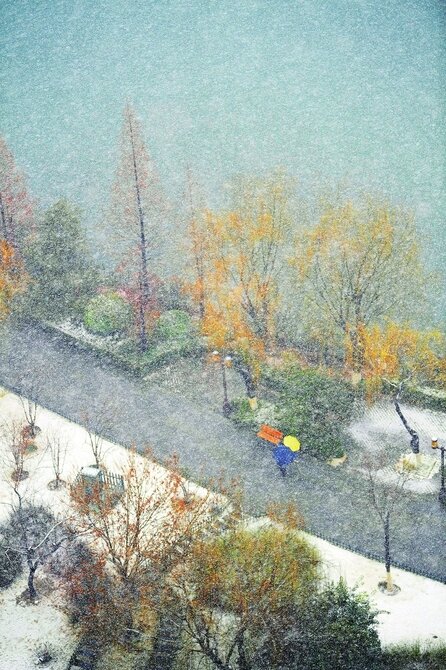 雪中景：雪舞城如画 雾笼泉更欢
