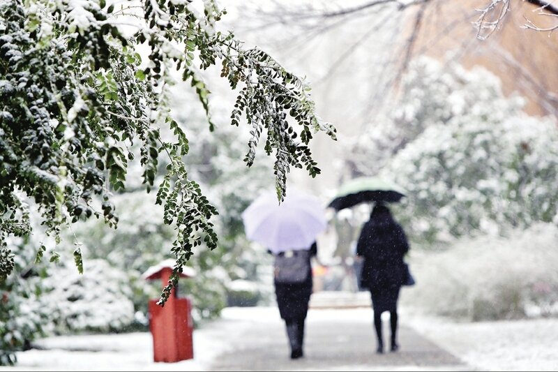 雪中景：雪舞城如画 雾笼泉更欢
