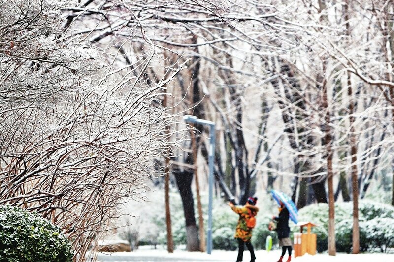 雪中景：雪舞城如画 雾笼泉更欢