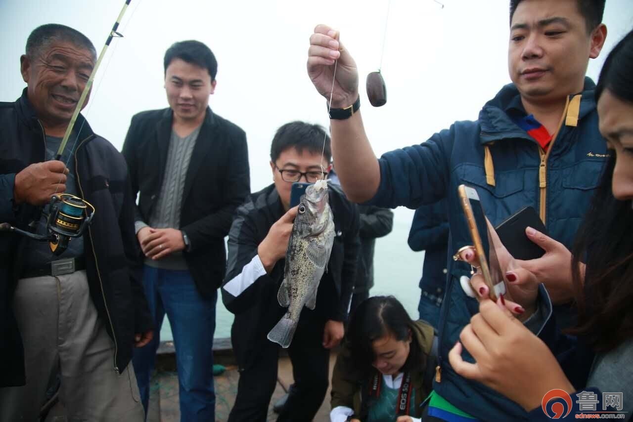 点击查看下一页