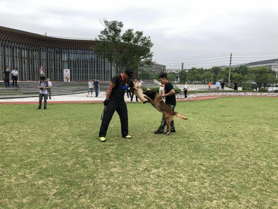 训导员在进行训练