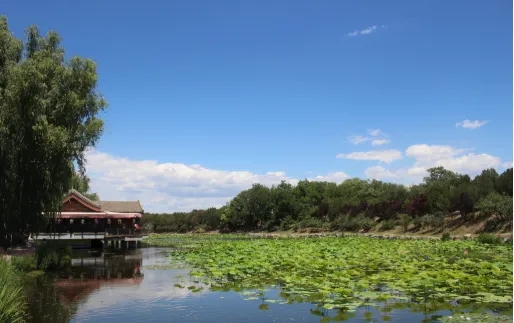 潍坊世茂璀璨公园 | 最后1栋!高新浞河畔,难得11层南向四开间洋房!