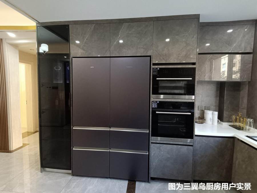 装厨房能当“甩手掌柜”吗？三翼鸟厨房：试试我