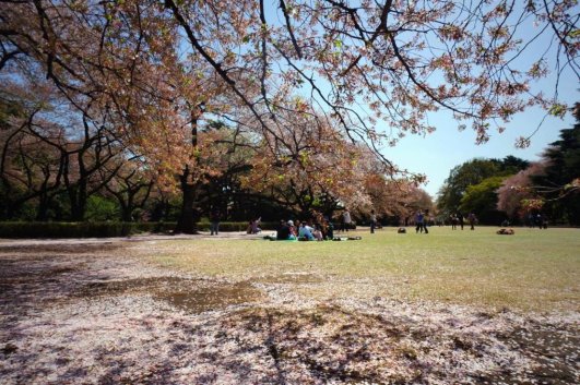 塔尖重回大明湖 | 圆满济南人千年不变的居住向往