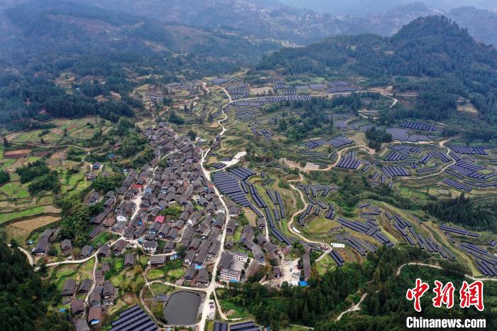 加禾村示范种植羊肚菌基地。　杨家孟 摄