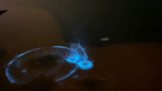 2C2D574A1556BC7D8BB5F78599568726