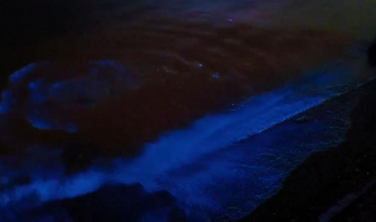 FFF029391F0F5998A85F5126F0F38777