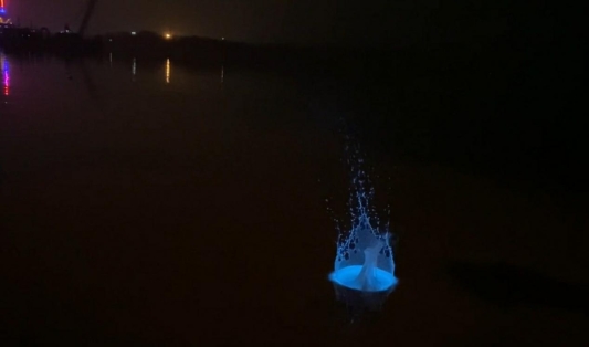 7654F798029291298DA172DDE873A628