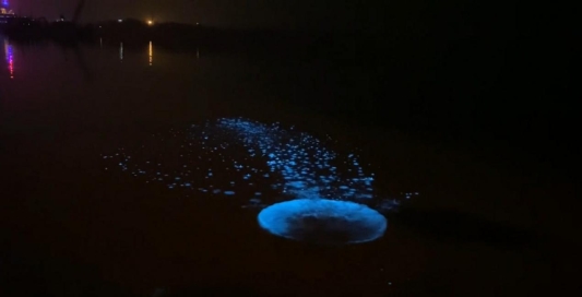 735CFE1310A1936D43C6B346D29A2AD5