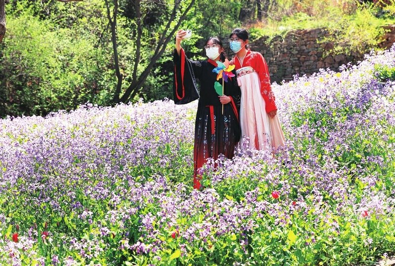 红叶谷叠翠春色美 郁金香花开诗意浓