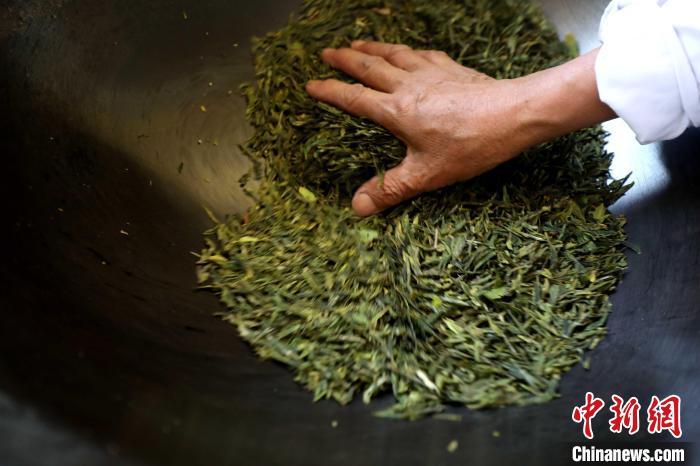 制茶师正在炒制日照绿茶。　乔祥明 摄