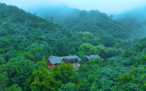 济南九如山雨后现平流雾 山色朦胧宛如仙境