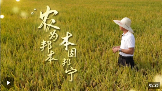 丰收之美丨农为邦本 本固邦宁
