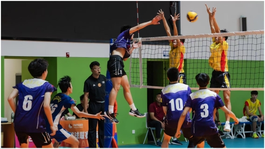 图示, 示意图
中度可信度描述已自动生成:ver1