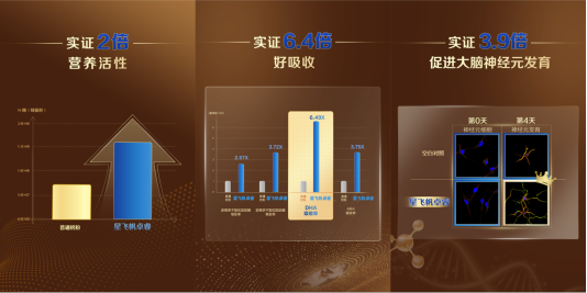 图形用户界面, 应用程序

AI 生成的内容可能不正确。