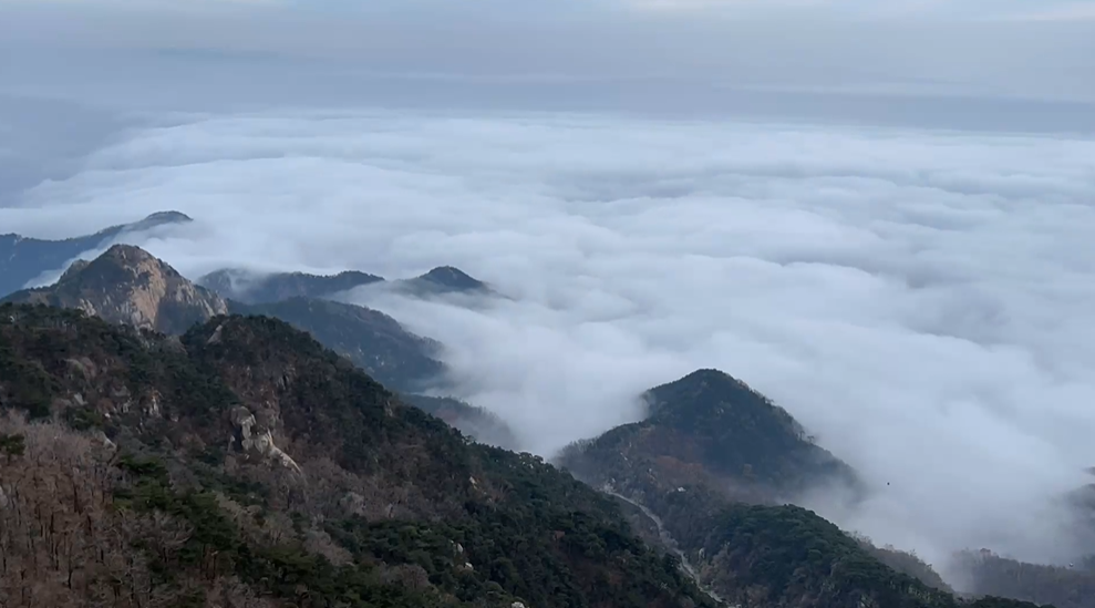 新时代,我在中国|保加利亚留学生在泰安见证国泰民安