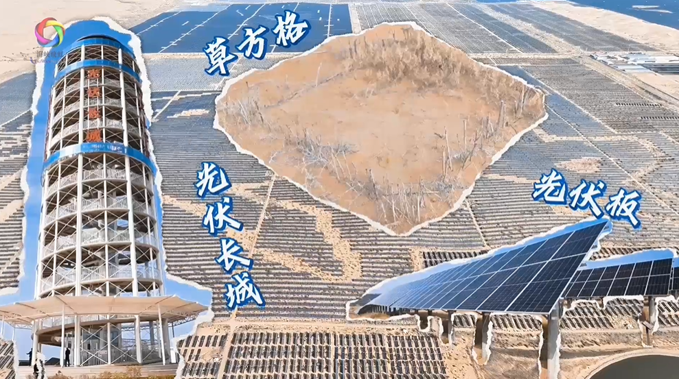(两岸新发现)寻迹内蒙古:沙海变“蓝海” 台湾青年见证“光伏长城”治沙奇迹(视频)