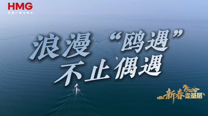 新春走基层丨浪漫“鸥遇”不止偶遇