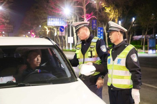 图示, 示意图

中度可信度描述已自动生成:ver1