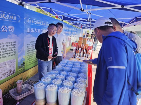 图示, 示意图

中度可信度描述已自动生成:ver1