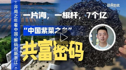 “中国紫菜之乡”的共富密码:一片海,一根杆,7个亿丨开局之年看中国
