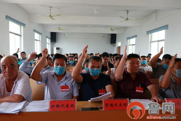 台儿庄马兰屯镇召开第十六届人民代表大会第八次会议