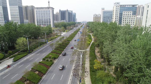 株,工程完工后,渤海十八路道路中央绿化隔离带已然呈现出处处是景又步