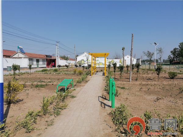 德州市陵城区糜镇吴龙村美丽乡村入画来