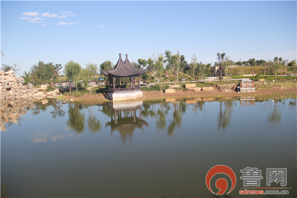 奋力谱写乡村振兴壮美篇章德州市陵城区糜镇经济社会高质量发展综述