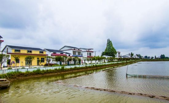 盘活村级集体经济益阳南县为乡村振兴活血造血