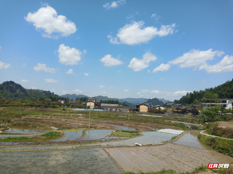 田.jpg
