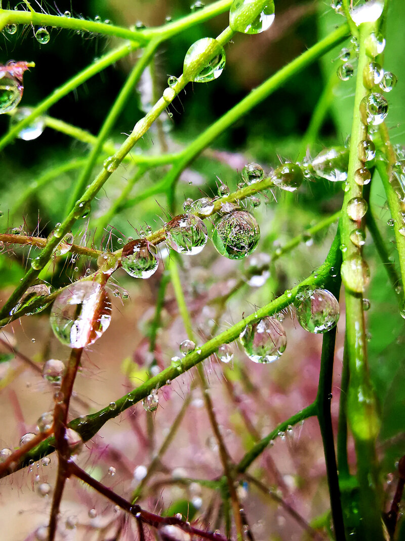 雨后图片图片