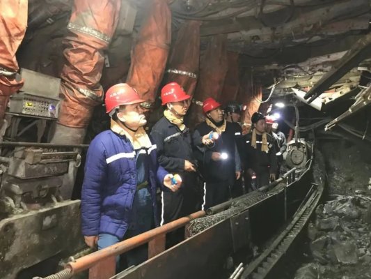 中小煤炭企业优秀经营管理工作者,全国煤矿书协文化志愿服务先进个人