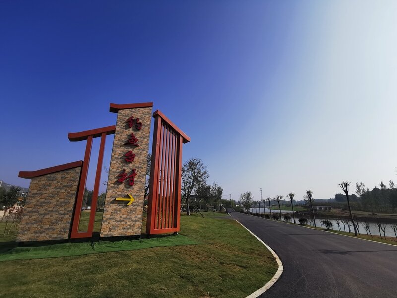 乡村振兴看济宁旧貌换新颜产业促发展大束镇钓鱼台村党支部领办合作社