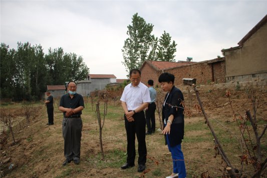 微山县领导王建图片