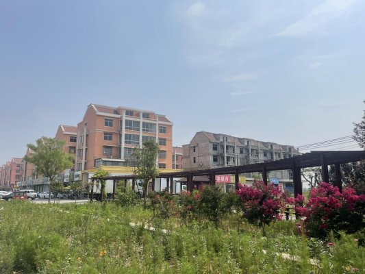 济宁市微山县韩庄镇人居环境提档升级民生实事稳步推进