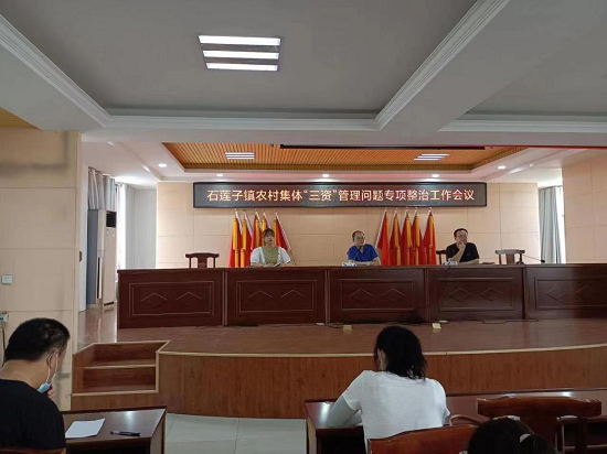 莒南县石莲子镇召开农村集体三资管理问题专项整治工作会议