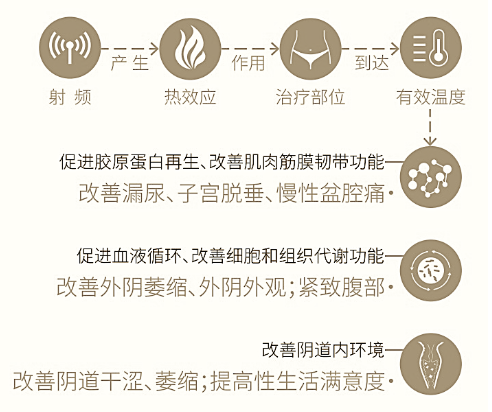 盆底康复治疗仪怎么用半岛AI温控射频治疗仪，给你满意的盆底问题康复综合解决方案！_https://www.jmylbn.com_新闻资讯_第1张