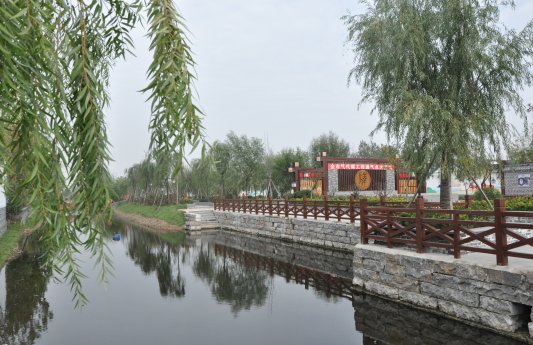 穿行在最美的乡村画图中济宁市任城区唐口街道聚力改善人居环境纪实