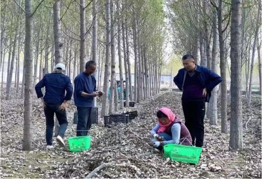 7d170ff1d3ed415c54236e402bba59c