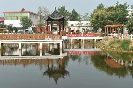 郯城县杨集镇美化乡村环境提升群众的幸福感满意度