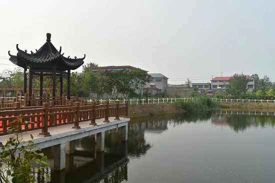 杨集镇:美化乡村环境 提升群众的幸福感满意度 - 鲁网 · 临沂 - 山东