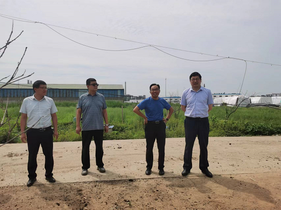 莒南县团林镇党委书记张守金督导服务保障重大项目工作