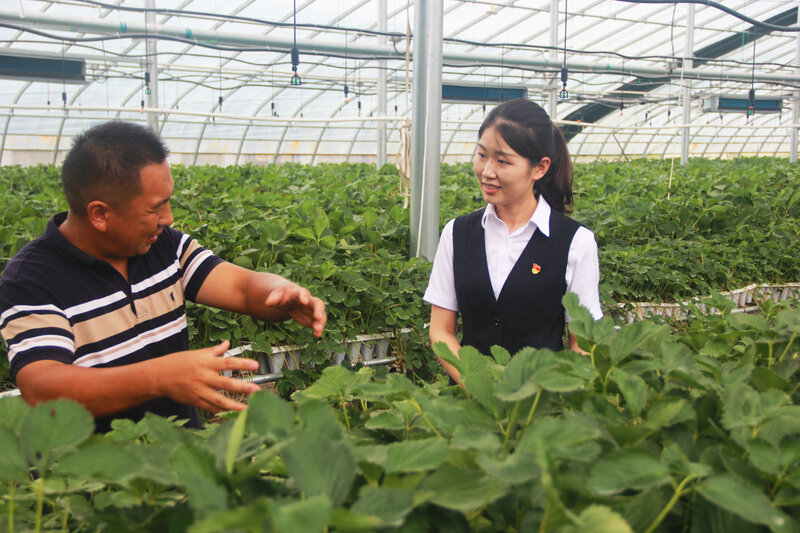 山东中行:"乡村好青年贷"助力乡村振兴跑出"加速度"
