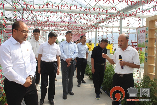 薛城区周营镇:省政协"政协工作齐鲁行"来周营镇开展集中采访活动