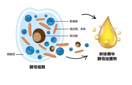 C:UsersAdministratorAppDataLocalTempWeChat Files50a2775825d56fd7e365e7fa16800c0.jpg