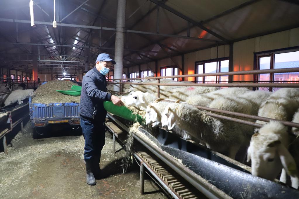 新华全媒 丨黑龙江依兰:特色产业让增收路越走越宽