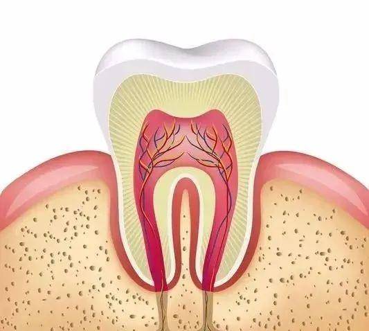 牙髓炎吃点药就能好?不