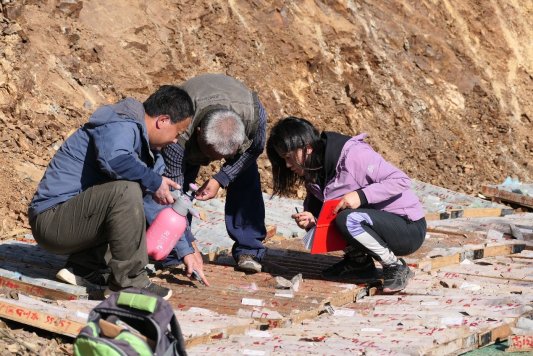 山东省五莲县分岭山—诸城市桃林地区金铜调查评价