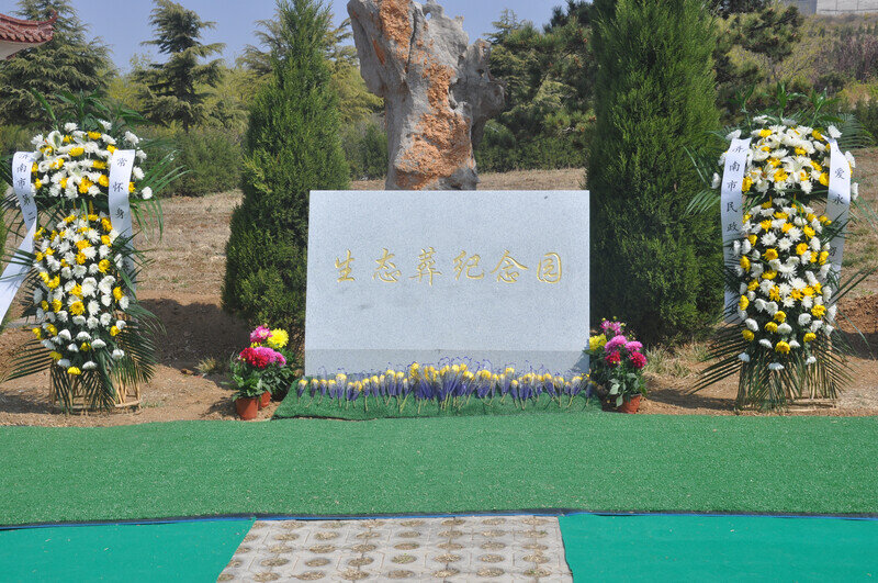 "大体老师"回归自然 济南为100位遗体捐献者在蟠龙山公墓举行生态安葬